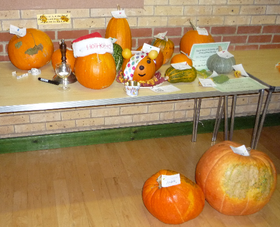 Competition Entries 