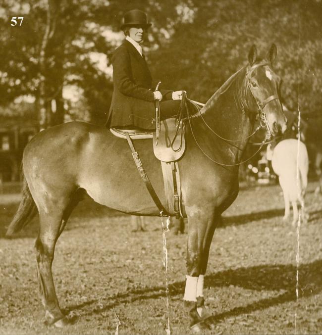 Eveline Forrest on her hunter