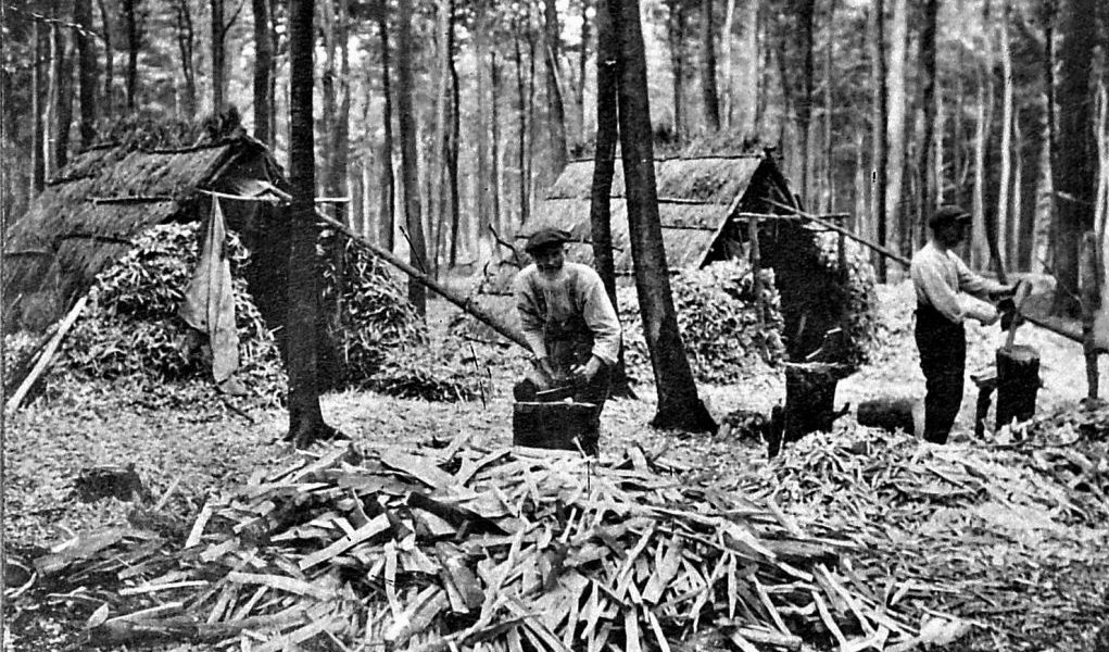 Bodgers working in the woods in Hampden, Buckinghamshire