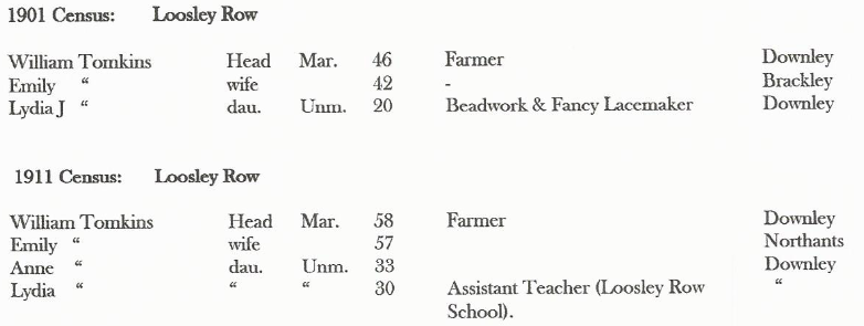 Census 1901 / 11