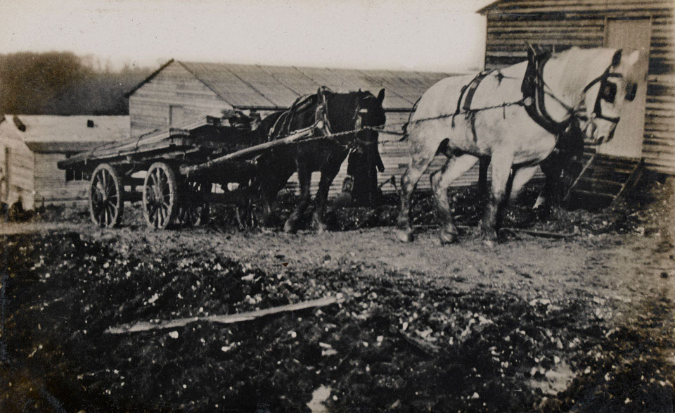 Village Hall future site