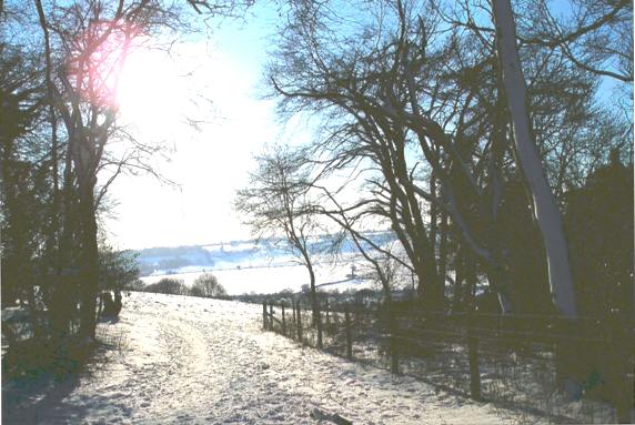 A section of the old Carriage Road described above, from the right of the stile at the top of the Grubbin looking towards Bledlow Ridge, Photo 2009.