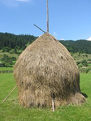 Typical hay rick of the time.  Today they use machinery to turn the hay into round bales