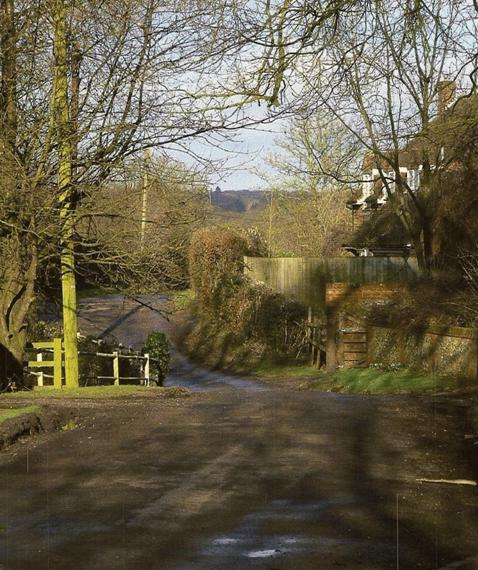 Winter Sunshine in Kiln Lane