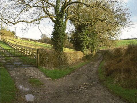 The 'lost' ancient highway; looking east from White House Farm