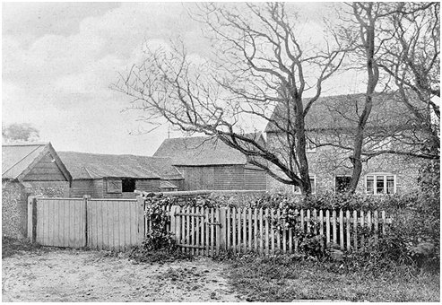 Lane Farm