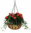 A specimen hanging basket