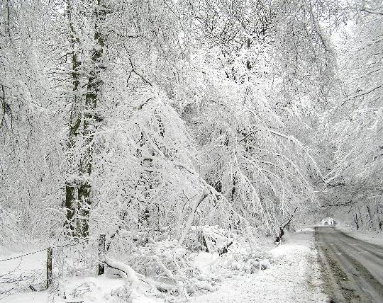 Winter 2008-9