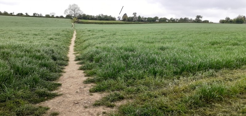 Chiltern Way/2nd field.