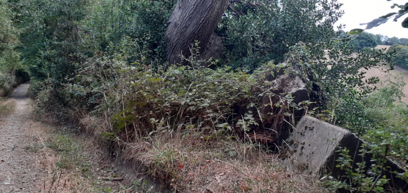 Path between Promised land and Grubbins