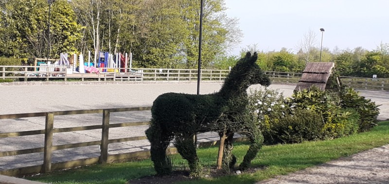 Horse