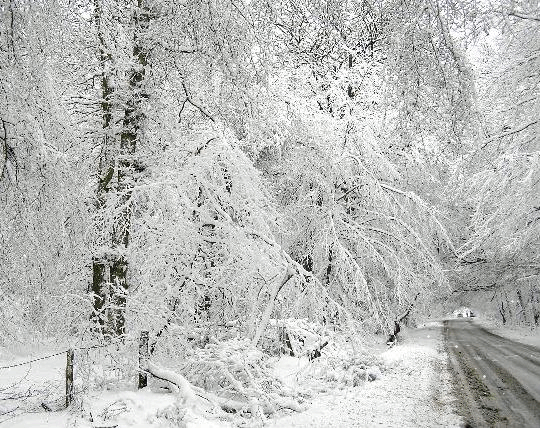 Winter 2008/9